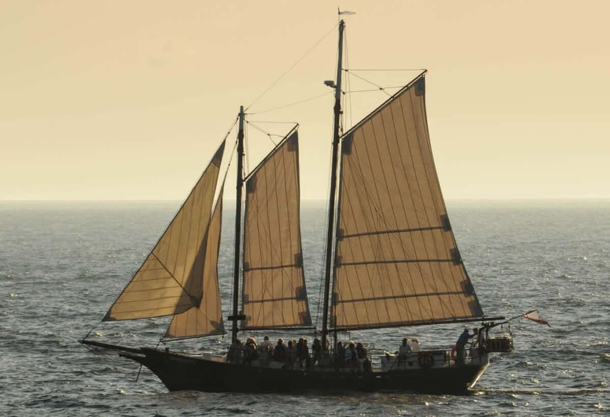 Sailing Saugatuck workplace 5